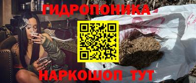 молекула духа Краснознаменск