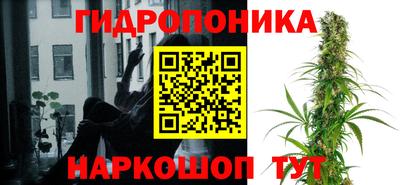 винт Краснодар